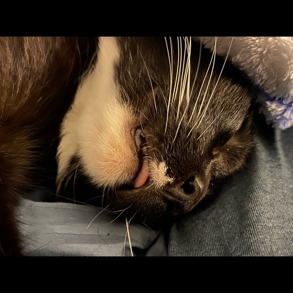 Meet your Posher, Sara - Picture 10 of 12